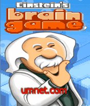 game pic for Einsteins Brain  N81